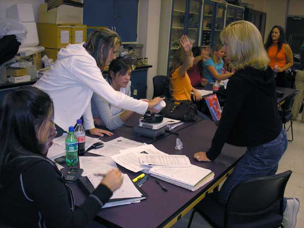 a teacher-in-training workshop